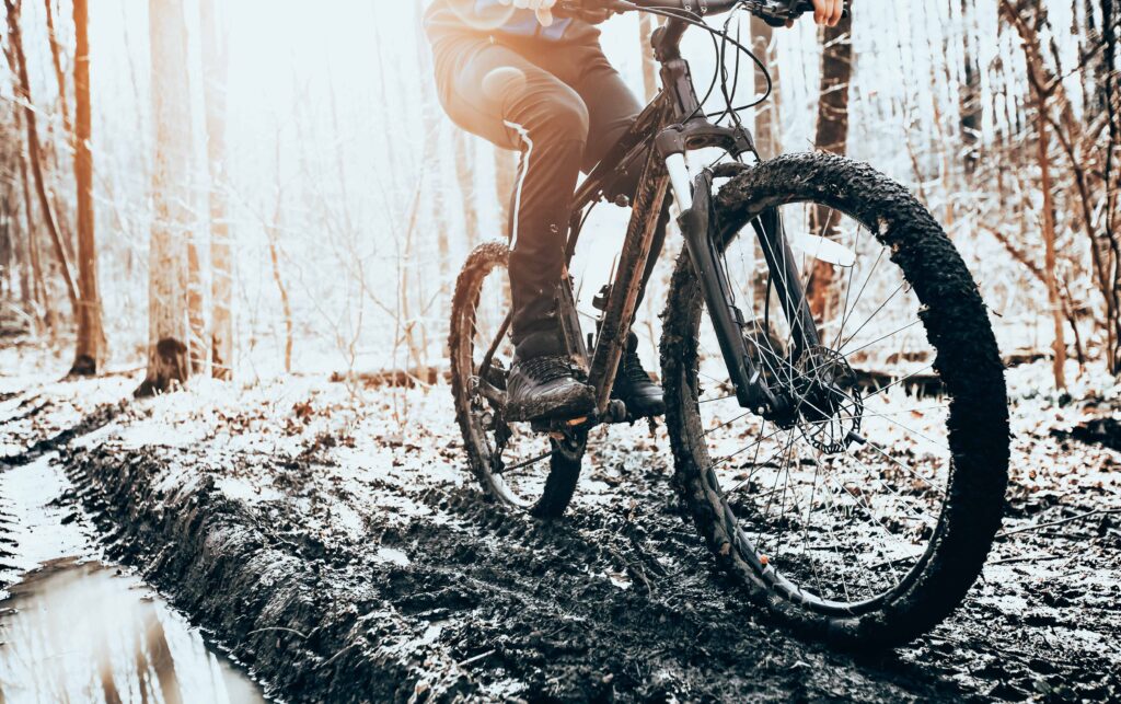 The cyclist is riding on mountain bike on dirt trail in forest in the early spring