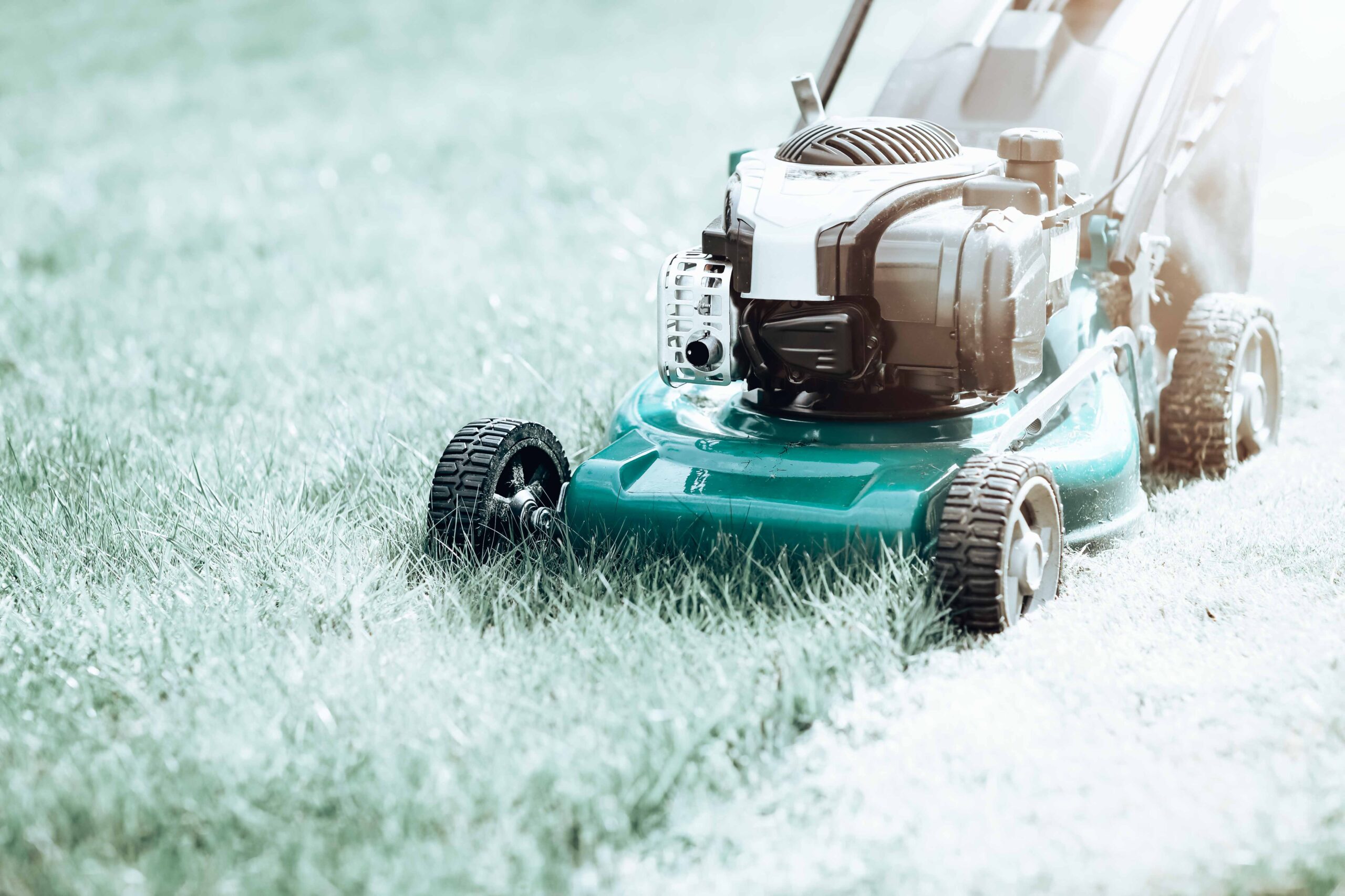 Mowing or cutting the long grass with a green lawn mower in the summer sun