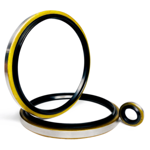 Hydraulic Seals