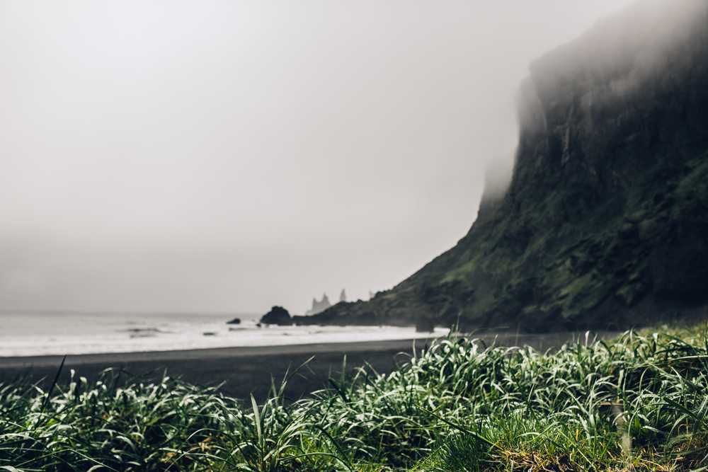 outdoor wilderness beach with greenery and tall cliff on a stormy gray day