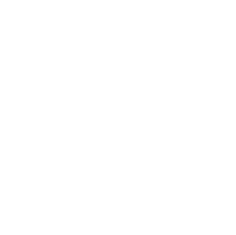 transparent image of shield